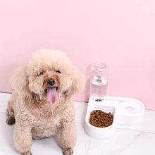 Load image into Gallery viewer, Heart-Shaped Pet Corner Bowl
