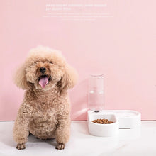 Load image into Gallery viewer, Heart-Shaped Pet Corner Bowl