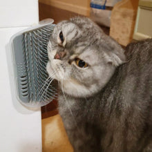 Load image into Gallery viewer, Cat Self-Grooming Brush