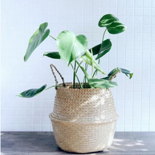Load image into Gallery viewer, Wicker Foldable Planter Basket