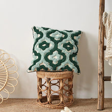Load image into Gallery viewer, ALOE Pillow Cover