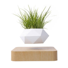 Load image into Gallery viewer, Poly Levitating Planter