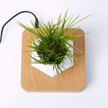 Load image into Gallery viewer, Poly Levitating Planter