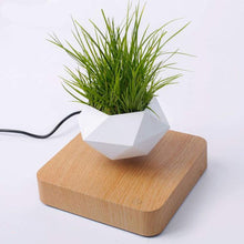 Load image into Gallery viewer, Poly Levitating Planter