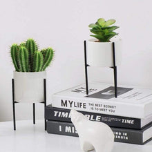 Load image into Gallery viewer, Plant Succulent Flowerpots