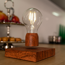 Load image into Gallery viewer, Astra Magnetic Levitation Bulb