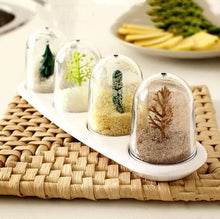 Load image into Gallery viewer, Seasons® Spice Jars