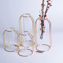 Load image into Gallery viewer, Minimalist Metal Vase Frame