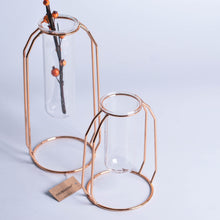 Load image into Gallery viewer, Minimalist Metal Vase Frame