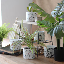 Load image into Gallery viewer, Terrazzo Pots