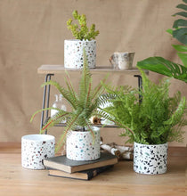 Load image into Gallery viewer, Terrazzo Pots