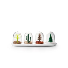 Load image into Gallery viewer, Seasons® Spice Jars