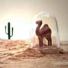 Load image into Gallery viewer, Seasons® Spice Jars