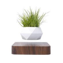 Load image into Gallery viewer, Poly Levitating Planter