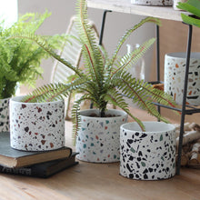 Load image into Gallery viewer, Terrazzo Pots