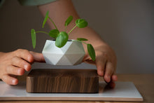 Load image into Gallery viewer, Poly Levitating Planter
