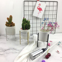 Load image into Gallery viewer, Plant Succulent Flowerpots