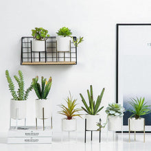Load image into Gallery viewer, Plant Succulent Flowerpots