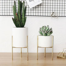 Load image into Gallery viewer, Plant Succulent Flowerpots