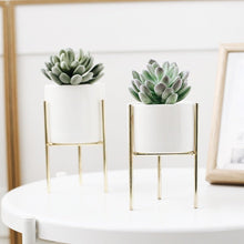 Load image into Gallery viewer, Plant Succulent Flowerpots