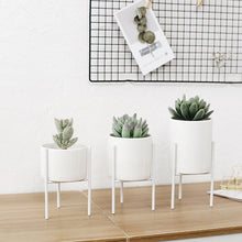 Load image into Gallery viewer, Plant Succulent Flowerpots