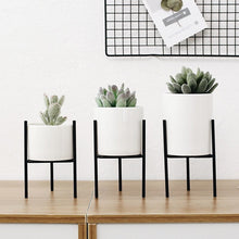 Load image into Gallery viewer, Plant Succulent Flowerpots