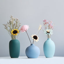 Load image into Gallery viewer, Océa Vases