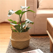 Load image into Gallery viewer, Wicker Foldable Planter Basket