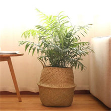 Load image into Gallery viewer, Wicker Foldable Planter Basket