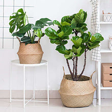 Load image into Gallery viewer, Wicker Foldable Planter Basket