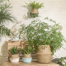 Load image into Gallery viewer, Wicker Foldable Planter Basket