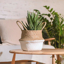 Load image into Gallery viewer, Wicker Foldable Planter Basket