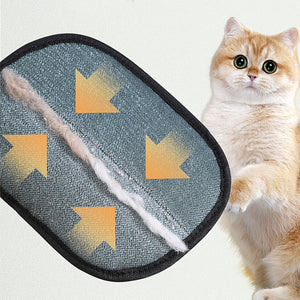 Purrfect Clean Mitt