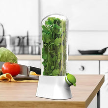 Load image into Gallery viewer, Herb saver with fresh herbs on a kitchen counter
