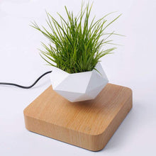 Load image into Gallery viewer, Poly Levitating Planter
