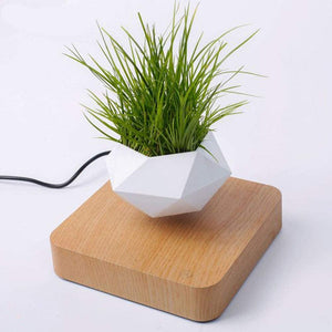 Poly Levitating Planter