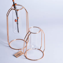Load image into Gallery viewer, Minimalist Metal Vase Frame
