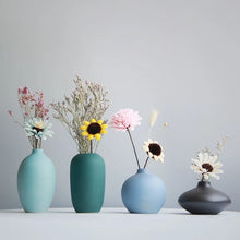 Load image into Gallery viewer, Océa Vases
