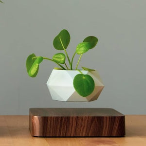 floating magnetic plant pot Poly Levitating Planter