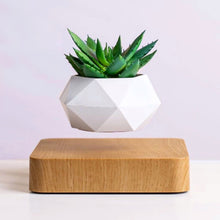 Load image into Gallery viewer, Poly Levitating Planter
