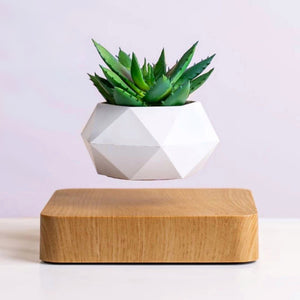 floating succulent pot Poly Levitating Planter